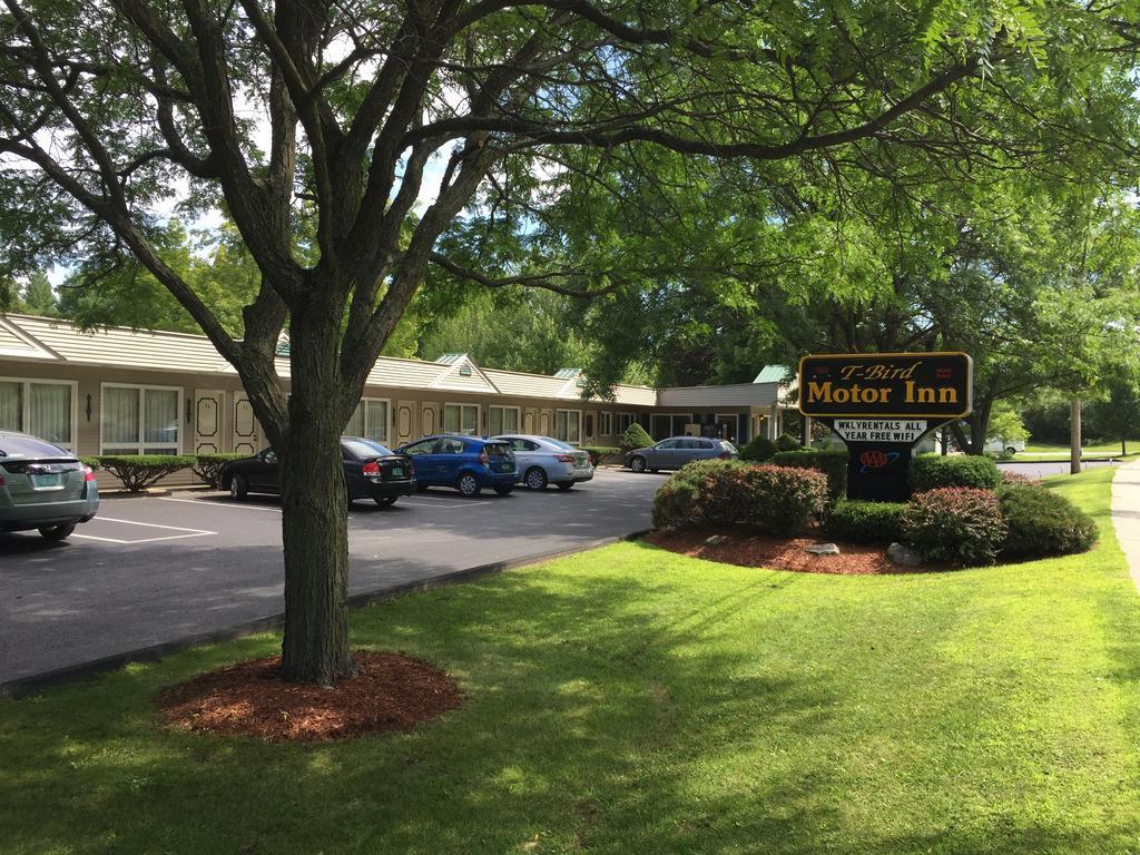 T-Bird Motor Inn Shelburne Exterior photo